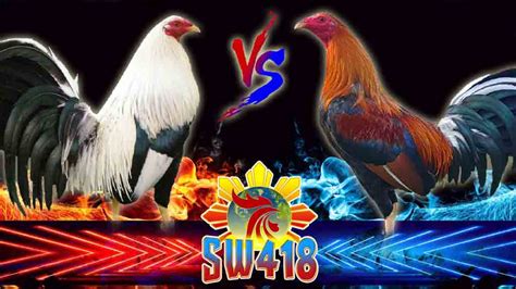 swwsite4..com|SW418 .
